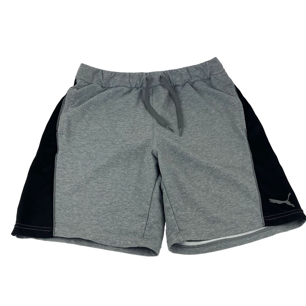 Puma Shorts Men Small | Stretch lite Athletic Performance